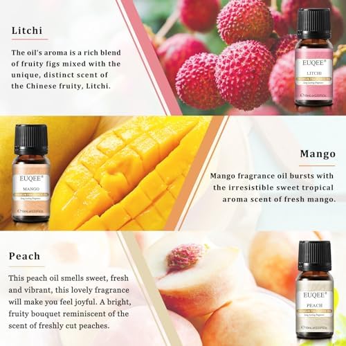 EUQEE Woody Essential Oils Set for Aromatherapy - Pure & Natural Oils - Eucalyptus, Cedarwood, Sandalwood, Frankincense,