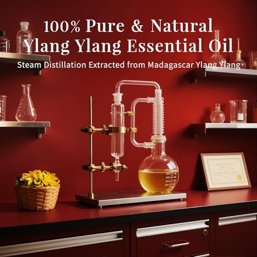 Sujuaba Sandalwood Oil for Diffuser and Skincare 4 Fl Oz - 100% Natural Aromatherapy Oil - Perfect for Relaxation and DI