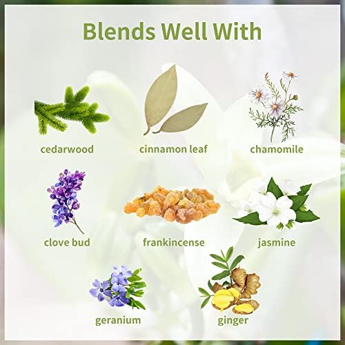 Yethious Pure Sandalwood Essential Oil for Aromatherapy & Diffuser - 10ML