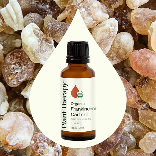 100% Pure Plant Therapy Organic Frankincense Carterii Essential Oil for Natural Aromatherapy and Therapeutic Grade Bene