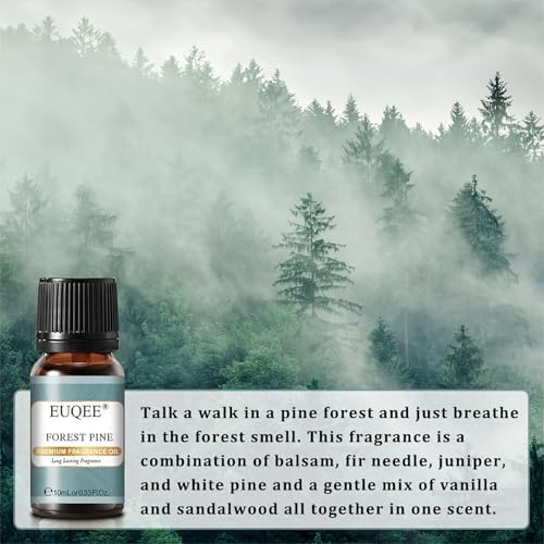EUQEE Woody Essential Oils Set for Aromatherapy - Pure & Natural Oils - Eucalyptus, Cedarwood, Sandalwood, Frankincense,