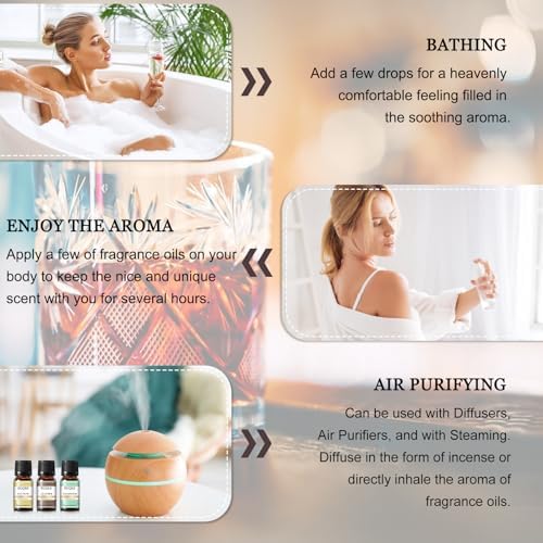 EUQEE Woody Essential Oils Set for Aromatherapy - Pure & Natural Oils - Eucalyptus, Cedarwood, Sandalwood, Frankincense,