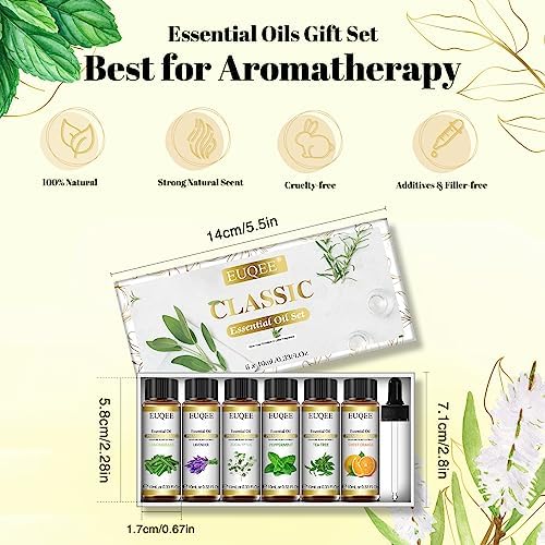 EUQEE Woody Essential Oils Set for Aromatherapy - Pure & Natural Oils - Eucalyptus, Cedarwood, Sandalwood, Frankincense,