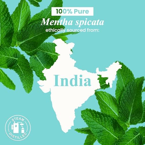 Handcraft Blends Organic Cedarwood Essential Oil - Premium Grade for Diffuser and Aromatherapy - USDA Organic - 1 Fl Oz