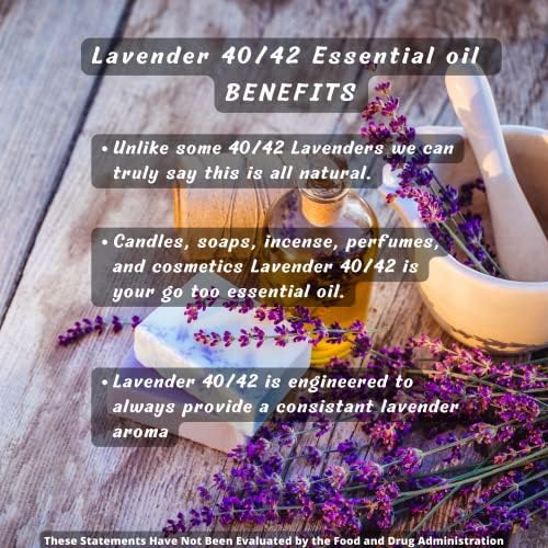 Grimweed Apothecary USDA Organic Cinnamon Essential Oil - Therapeutic Grade - 15mL - Diffuser Oil - 100% All Natural - w