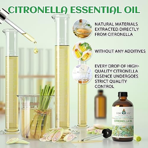 EVOKE OCCU Citronella and Cinnamon Essential Oils - Natural and Effective Mosquito Repellent for Home Use | EVOKE OCCU