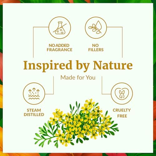 SVA Frankincense Essential Oil - 100% Natural Boswellia Carterii Oil for Aromatherapy and Skin Care - 1 Fl Oz with Dropp