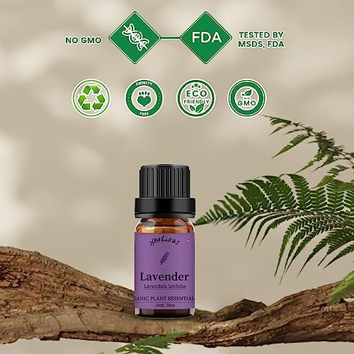Yethious Pure Sandalwood Essential Oil for Aromatherapy & Diffuser - 10ML
