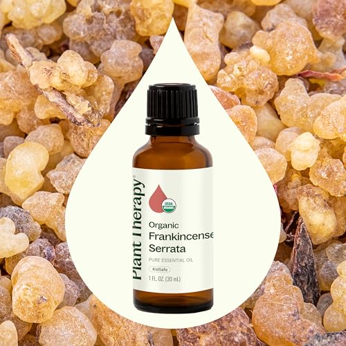 Plant Therapy Organic Frankincense Serrata Essential Oil for Aromatherapy and Therapeutic Use | Plant Therapy Organic F