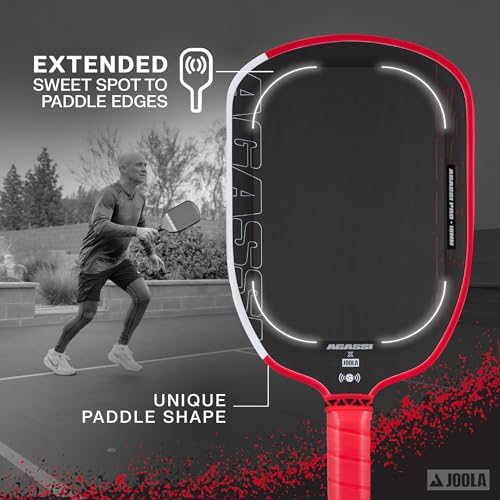 JOOLA Agassi PRO IV 14mm Pickleball Paddle - Carbon Fiber Surface Increases Spin & Control for Experts | JOOLA Agassi P