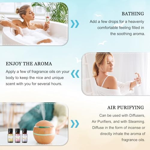 EUQEE Woody Essential Oils Set for Aromatherapy - Pure & Natural Oils - Eucalyptus, Cedarwood, Sandalwood, Frankincense,