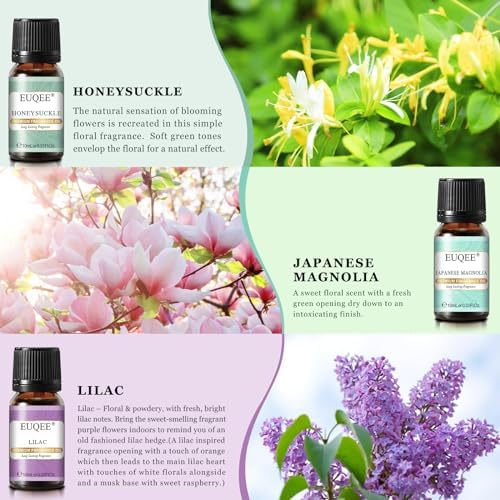 EUQEE Woody Essential Oils Set for Aromatherapy - Pure & Natural Oils - Eucalyptus, Cedarwood, Sandalwood, Frankincense,