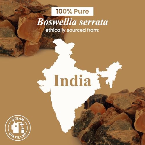 Handcraft Blends Organic Cedarwood Essential Oil - Premium Grade for Diffuser and Aromatherapy - USDA Organic - 1 Fl Oz