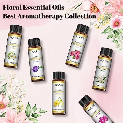 EUQEE Woody Essential Oils Set for Aromatherapy - Pure & Natural Oils - Eucalyptus, Cedarwood, Sandalwood, Frankincense,