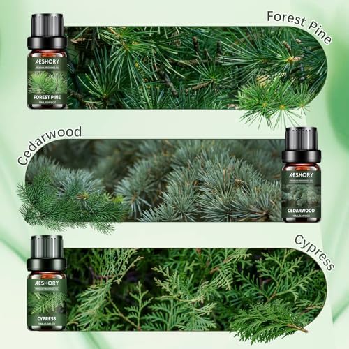 Woody Essential Oils Set for Candle Making & Diffuser - 6x10ML Teakwood, Sandalwood, Cedarwood, Cypress, Forest Pine, F
