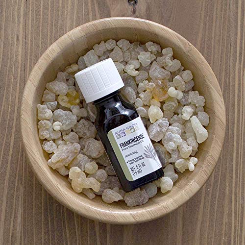 Aura Cacia Sandalwood Essential Oil for Skin Care and Centering Aura Cacia Sandalwood Essential Oil Jojoba Oil 0.5 fl.