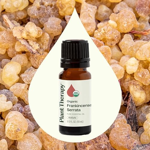 Pure Plant Therapy Organic Frankincense Serrata Essential Oil for Natural Aromatherapy and Therapeutic Use, 100% Pure,
