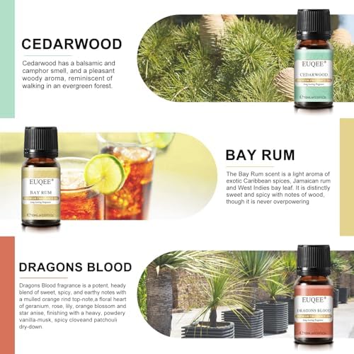 EUQEE Woody Essential Oils Set for Aromatherapy - Pure & Natural Oils - Eucalyptus, Cedarwood, Sandalwood, Frankincense,