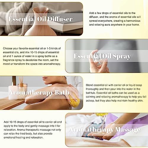 EUQEE Woody Essential Oils Set for Aromatherapy - Pure & Natural Oils - Eucalyptus, Cedarwood, Sandalwood, Frankincense,