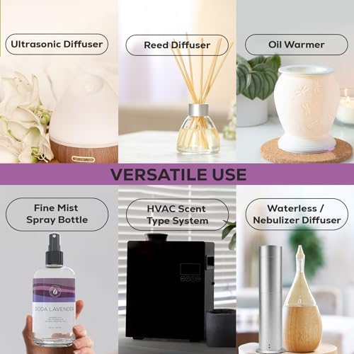 Aroma Country Fraser Fir Christmas Tree Oil - Luxury Essential Oils for Diffuser & Air Freshener - Natural Home Fragranc