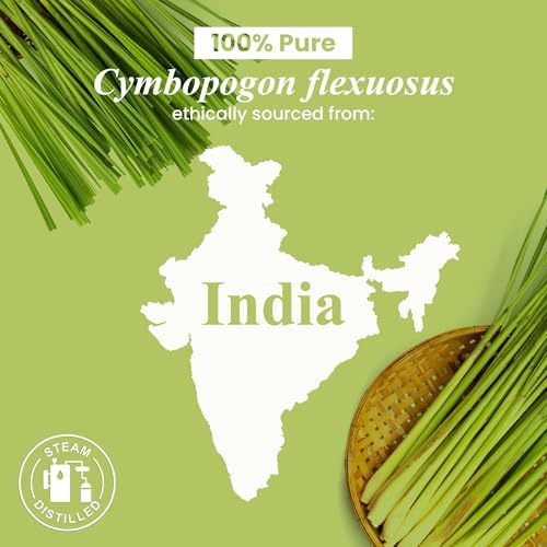 Handcraft Blends Organic Cedarwood Essential Oil - Premium Grade for Diffuser and Aromatherapy - USDA Organic - 1 Fl Oz