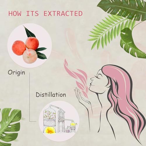 Sandalwood & Clary Sage Essential Oils for Aroma and Spa - 100% Pure Organic Natural Plant Oils, 2x10ML Sandalwood & C