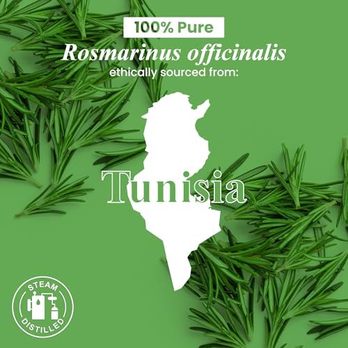 Handcraft Blends Organic Cedarwood Essential Oil - Premium Grade for Diffuser and Aromatherapy - USDA Organic - 1 Fl Oz