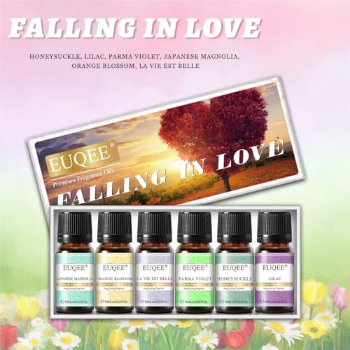 EUQEE Woody Essential Oils Set for Aromatherapy - Pure & Natural Oils - Eucalyptus, Cedarwood, Sandalwood, Frankincense,