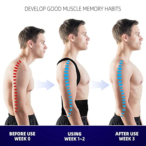 Upgraded Posture Corrector Back Brace for Men and Women | New Version Lumbar Support Back Brace for Posture Improving a