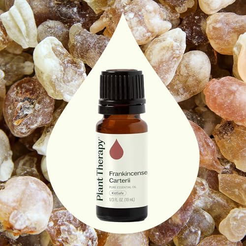 Plant Therapy 100% Pure Frankincense Essential Oil for Aromatherapy and Therapeutic Use, 10 mL | Plant Therapy Natural