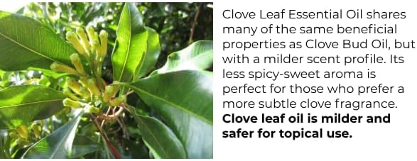 Premium Cinnamon Oil 4 Fl Oz for Cleaning and Aromatherapy - 100% Pure, Natural & Therapeutic - Perfect for Indoor and O