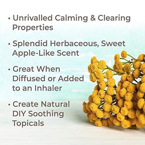 Plant Therapy Organic Frankincense Serrata Essential Oil for Aromatherapy and Therapeutic Use | Plant Therapy Organic F