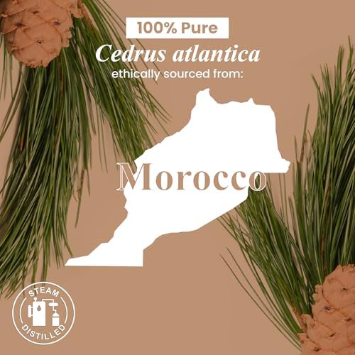 Handcraft Blends Organic Cedarwood Essential Oil - Premium Grade for Diffuser and Aromatherapy - USDA Organic - 1 Fl Oz