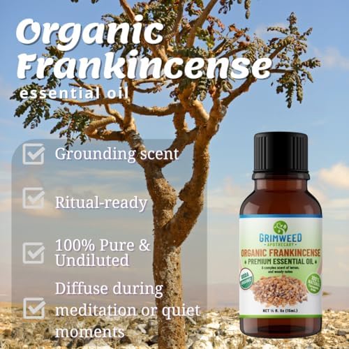 Grimweed Apothecary USDA Organic Cinnamon Essential Oil - Therapeutic Grade - 15mL - Diffuser Oil - 100% All Natural - w