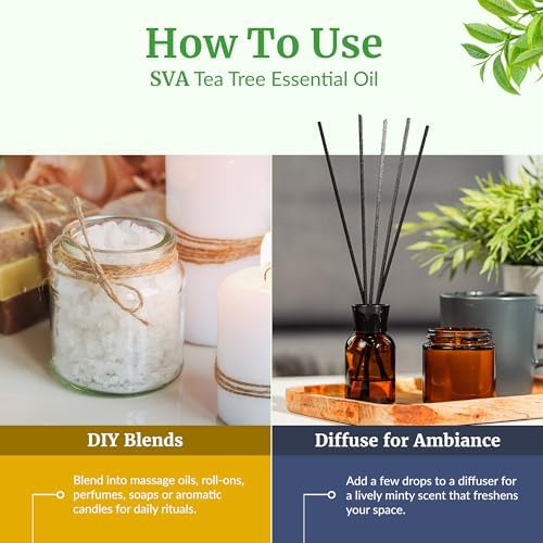 SVA Frankincense Essential Oil - 100% Natural Boswellia Carterii Oil for Aromatherapy and Skin Care - 1 Fl Oz with Dropp