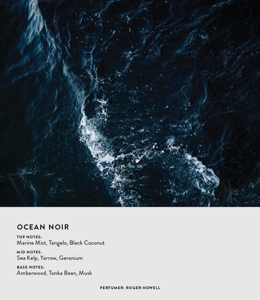 Michael Malul Ocean Noir Perfume for Men | Refreshing Sea Scent | Perfect Gift for Dapper Gentlemen | 100ml | Best Selle