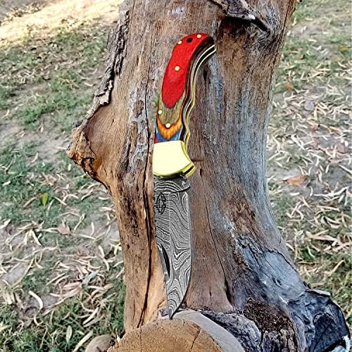 Best.Buy Damascus1 Folding Hunting Knife, 6.5" Real Damascus Blade & Olive Wood Handle, EDC Camping Knife for Men