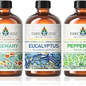 Pure Rosemary Essential Oil for Hair and Skin - 4 Fl Oz | Effective Hair and Skin Treatment with Rosemary, Eucalyptus,